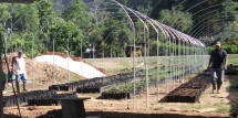 Invernadero construido por Cooperativas sin Fronteras y Agriterra en Costa Rica.