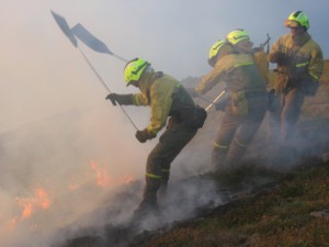 Miembros de las BRIF aportarán su experiencia.