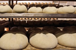 Queso madurando. Vía Lorenzo López