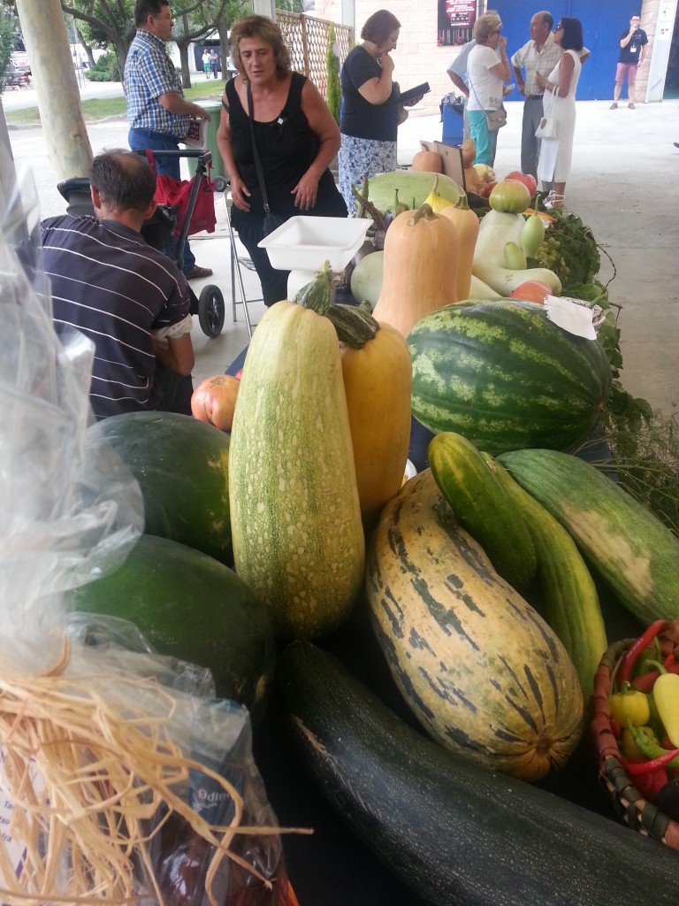 MERCADILLO EN BARBASTRO