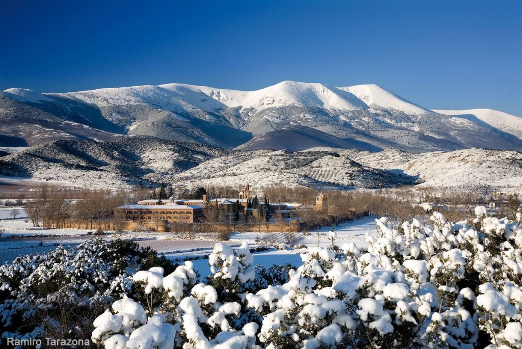 Campo de Borja. Moncayo Las garnachas de Campo de Borja se cultivan al pie del Moncayo. Ramiro Tarazona