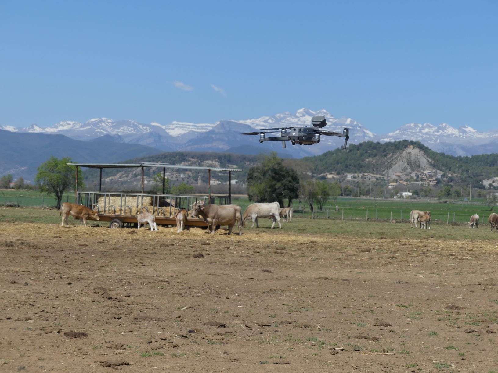 Hecho en Pirineos
