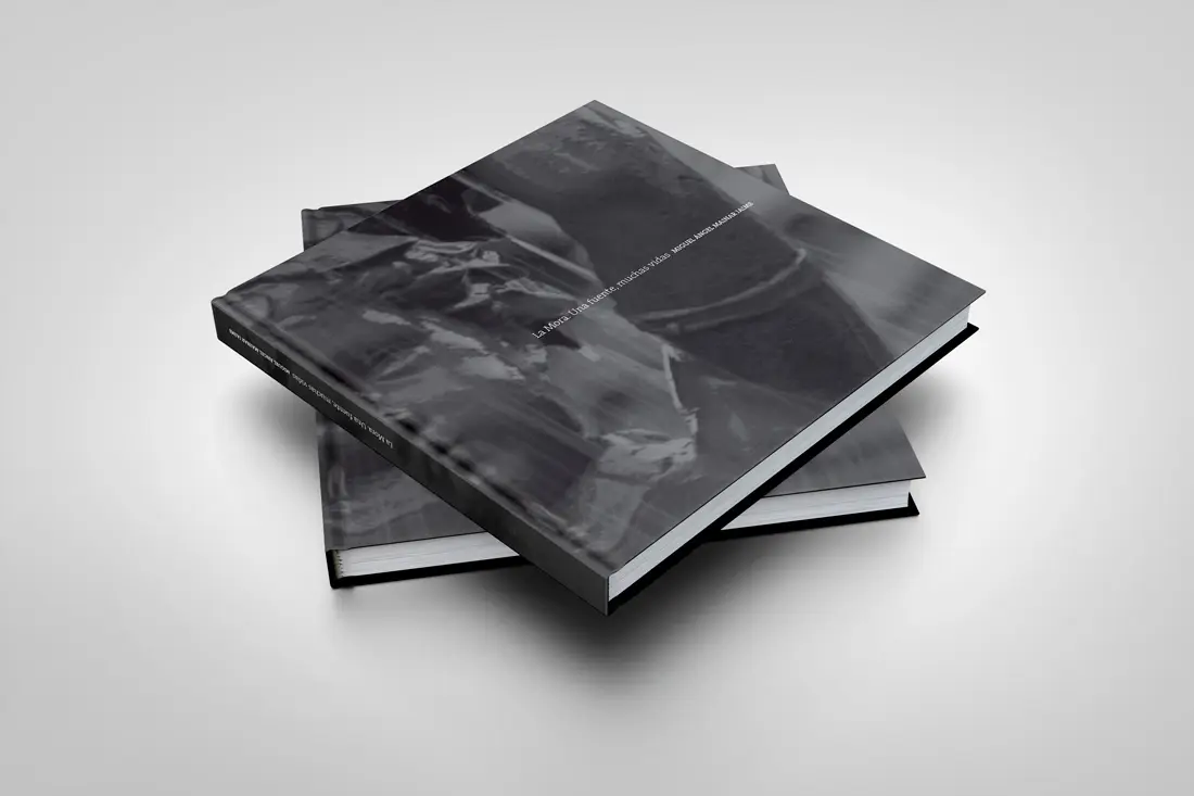 diseno-editorial-la-mora-portada